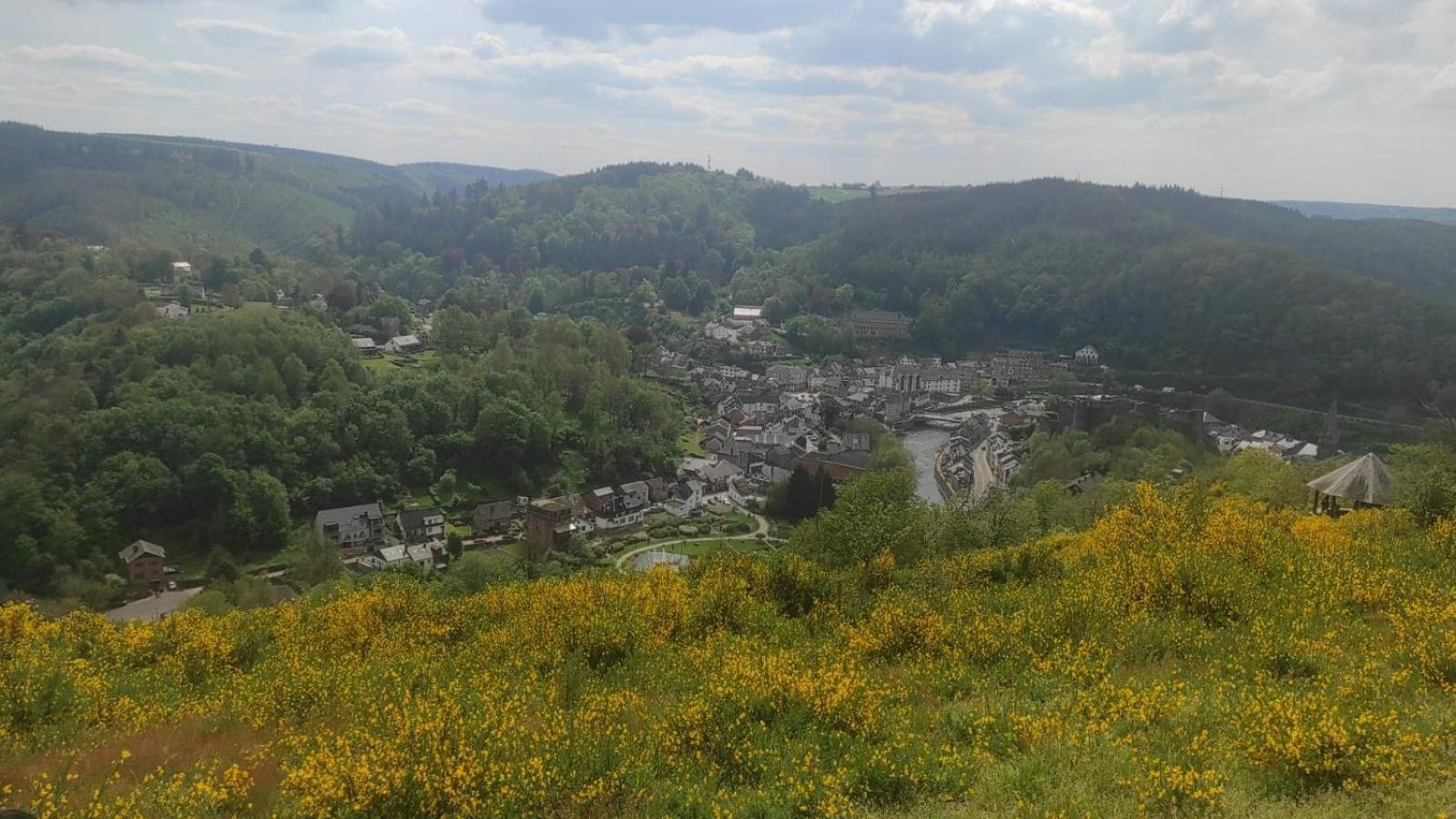 Le Panorama Villa La-Roche-en-Ardenne Exteriör bild