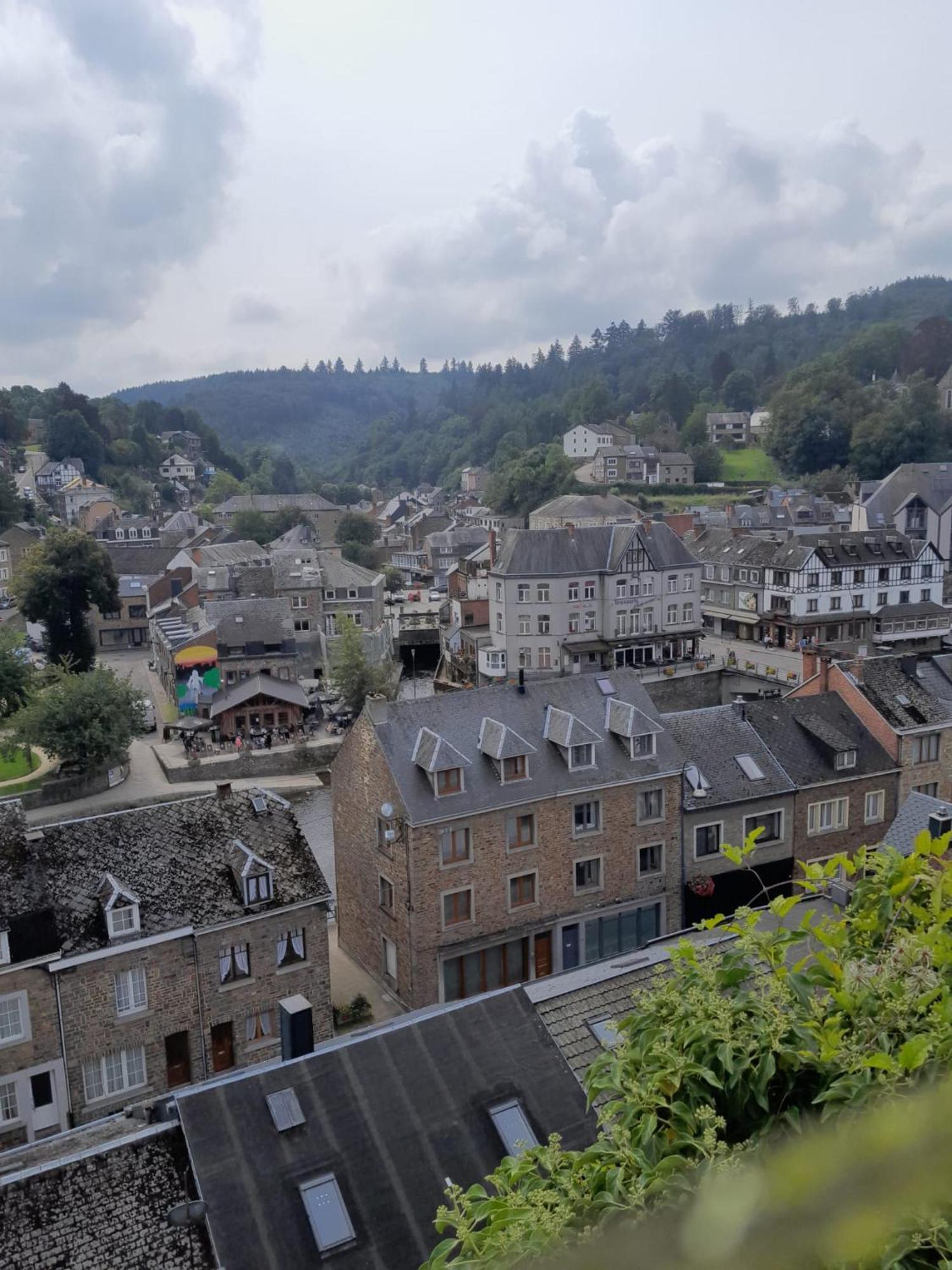 Le Panorama Villa La-Roche-en-Ardenne Rum bild