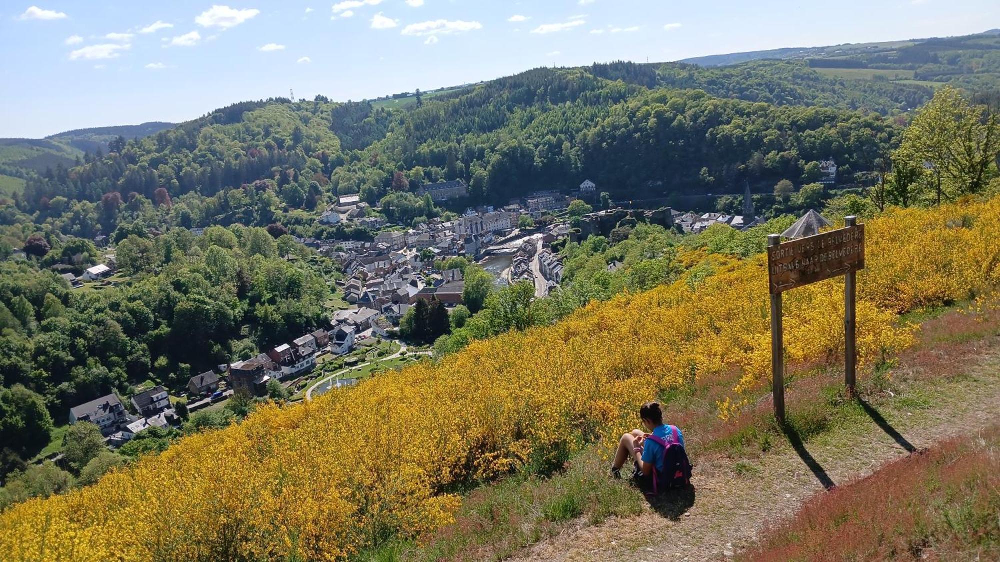 Le Panorama Villa La-Roche-en-Ardenne Exteriör bild